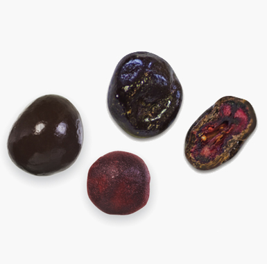 Spécialités chocolat fruits - Cranberry chocolat noir