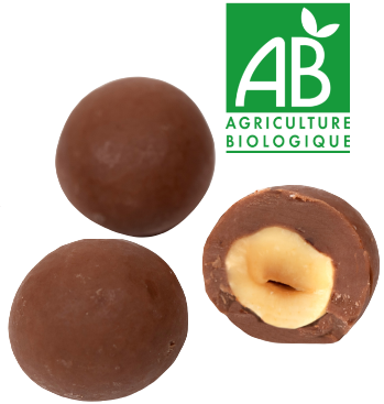 Almond and Nuts coated with chocolate - Organic roasted hazelnut coated with milk chocolate