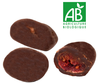 Spécialités chocolat fruits - Cranberry enrobée de chocolat noir, BIO