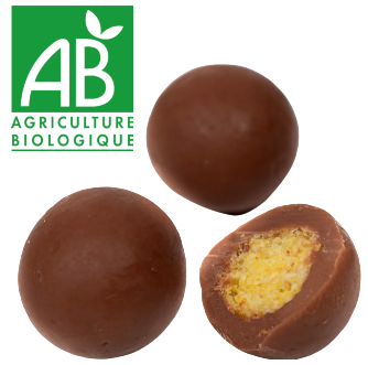 Crunchy - Crunchy cereal coated with milk chocolate, ORGANIC