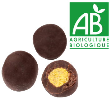 Spécialites chocolat croustillants - Croustillant enrobé de chocolat noir, BIO